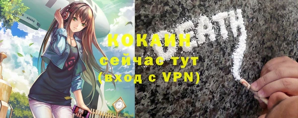 ешки Аркадак