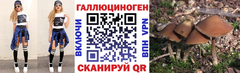 купить  цена  Пошехонье  blacksprut онион  Псилоцибиновые грибы GOLDEN TEACHER 